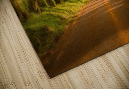 Painting of Tree Tunnel on Kauai Steve Heap puzzle