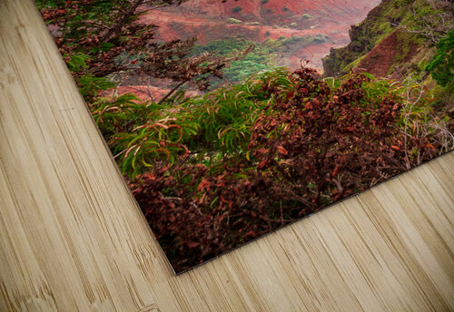 Vertical Waimea Canyon Kauai  Steve Heap puzzle