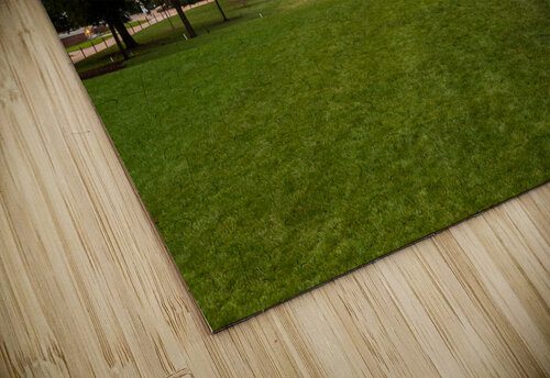 Old Cabell Hall at University of Virginia Steve Heap puzzle