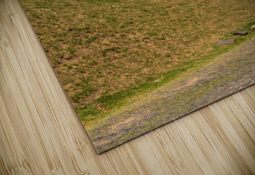 Street lamp in Unesco historical town of Colonia del Sacramento Steve Heap puzzle