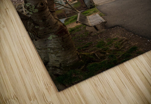 Steel girder bridge carries the bike walking trail over Deckers  Steve Heap puzzle