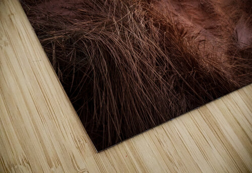 Sunset over Formby Beach through sand dunes Steve Heap puzzle