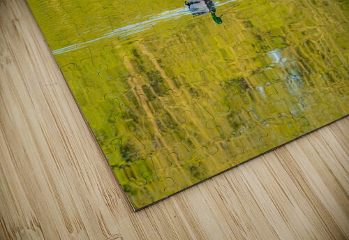 Two ducks floating through reflection of sunlit trees Steve Heap puzzle