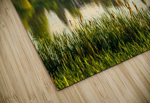 View across the Mere to the town of Ellesmere in Shropshire Steve Heap puzzle