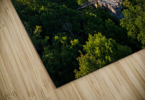 Aerial panorama of Cheat River Gorge Steve Heap puzzle
