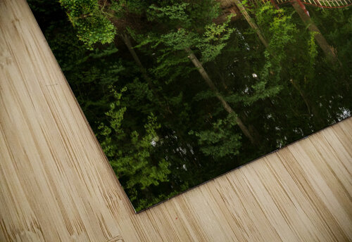 Crim Dell bridge at William and Mary college Steve Heap puzzle