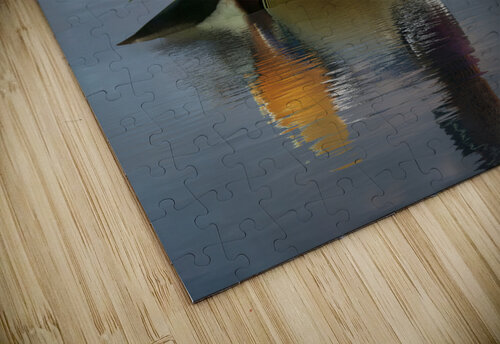 Mandarin duck floats on Ellesmere Mere to a clear reflection of  Steve Heap puzzle