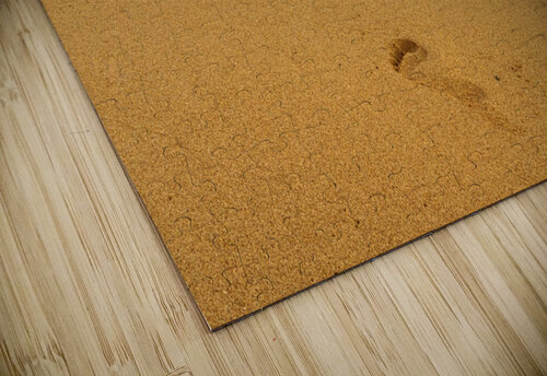 Early morning footsteps on Tunnels Beach on Kauai in Hawaii Steve Heap puzzle