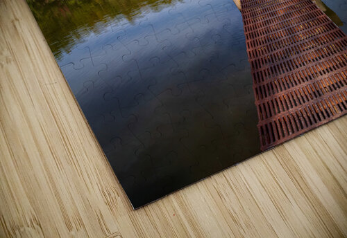 Fall leaves and metal pier in Coopers Rock State Forest in WV Steve Heap puzzle