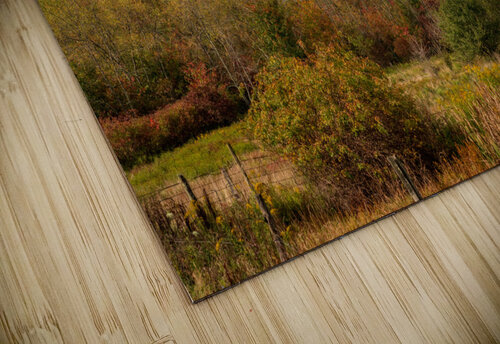 Historic red barn and farm nestled in fall colors in West Virgin Steve Heap puzzle