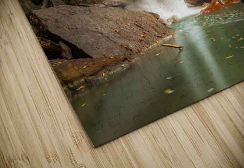 Douglas Falls near Blackwater Canyon trail near Thomas WV Steve Heap puzzle