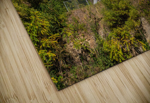 Mark Twain memorial lighthouse in Hannibal Missouri Steve Heap puzzle