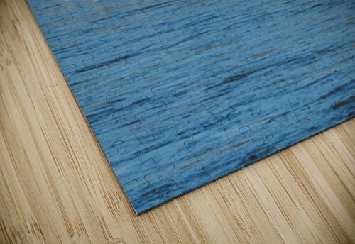 Flock of American white pelicans grouped on sandbank of Mississi Steve Heap puzzle