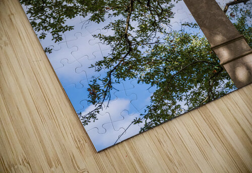 Rear view of statue confederate soldier surrendering in Natchez Steve Heap puzzle