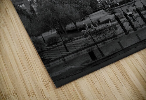 Monochrome view of Cathedral Basilica of Saint Louis Steve Heap puzzle