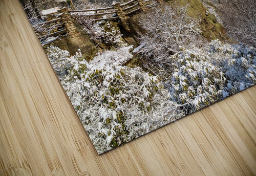 Coopers Rock overlook covered in winter snow near Morgantown Steve Heap puzzle