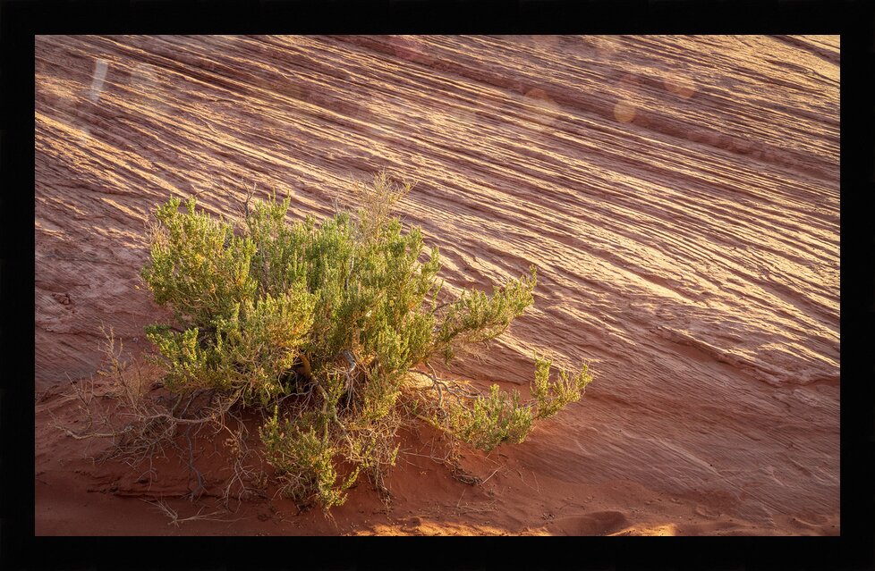 Impression de cadre personnalisé