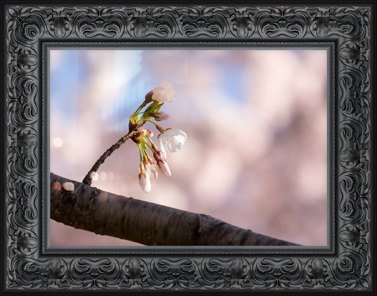 Impression de cadre personnalisé