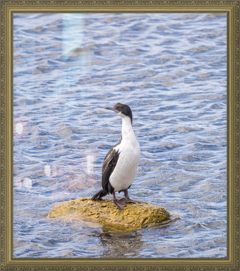 Impression de cadre personnalisé
