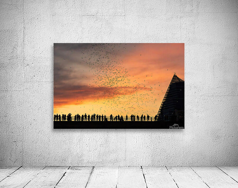 Bats Flying Overhead - Crowd on Congress Avenue bridge Wall Preview