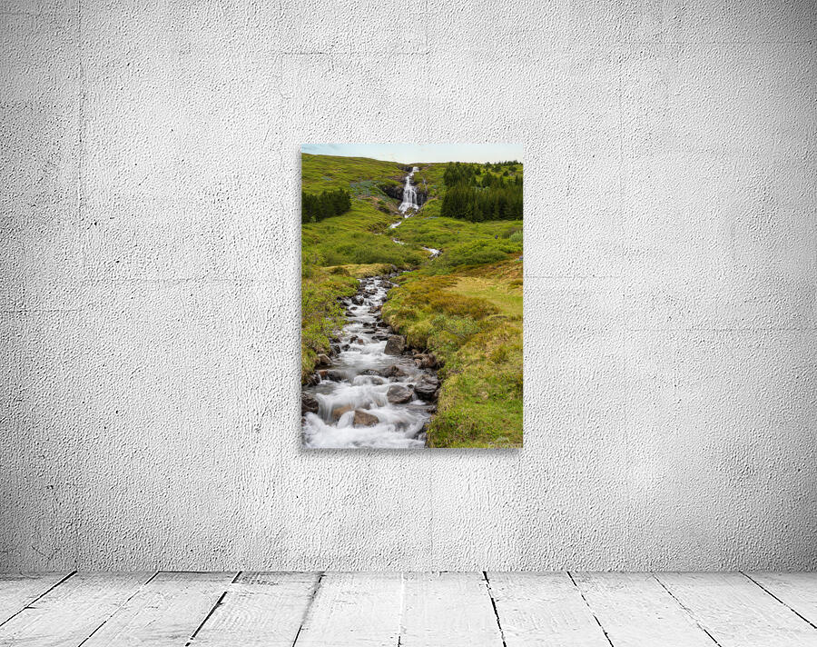 Waterfall in Tunhudalur valley near Isafjordur Iceland with lupi Wall Preview