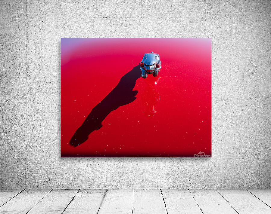 Red Jaguar XJS: Leaper in Sunlight Wall Preview