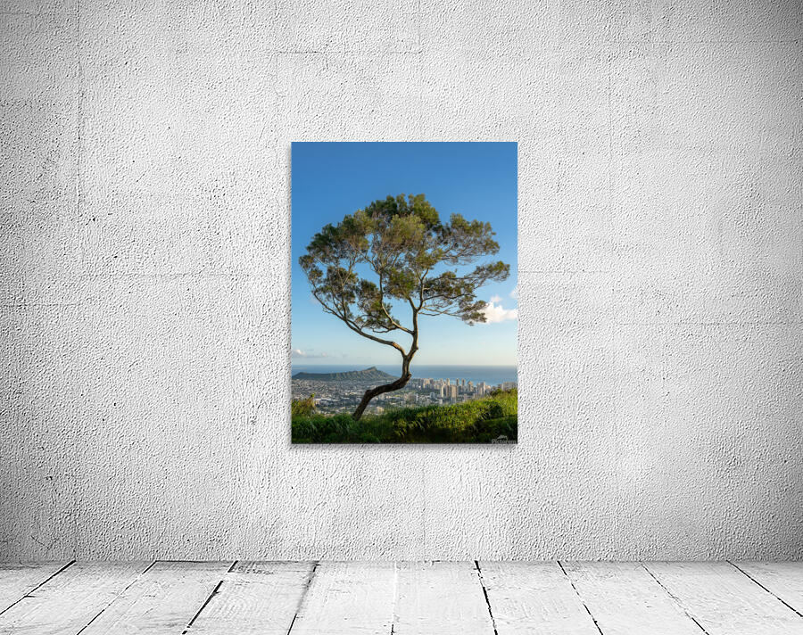 Panorama of Waikiki and Honolulu from Tantalus Overlook on Oahu Wall Preview