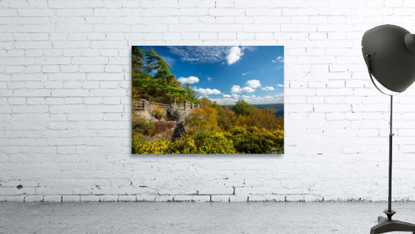 Coopers Rock state park overlook with fall colors Wall Preview