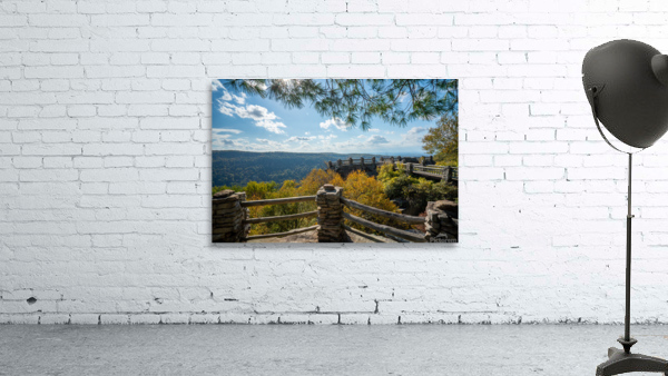 Coopers Rock state park overlook Wall Preview