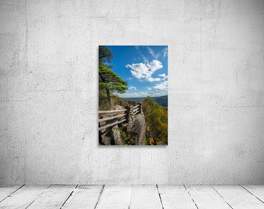 Coopers Rock state park overlook vertical format Wall Preview