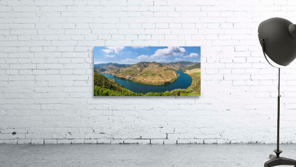 Vineyards line the Douro valley in Portugal Wall Preview