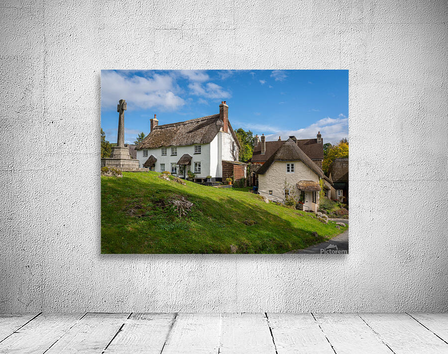 Thatched cottages in Lustleigh in Devon Wall Preview