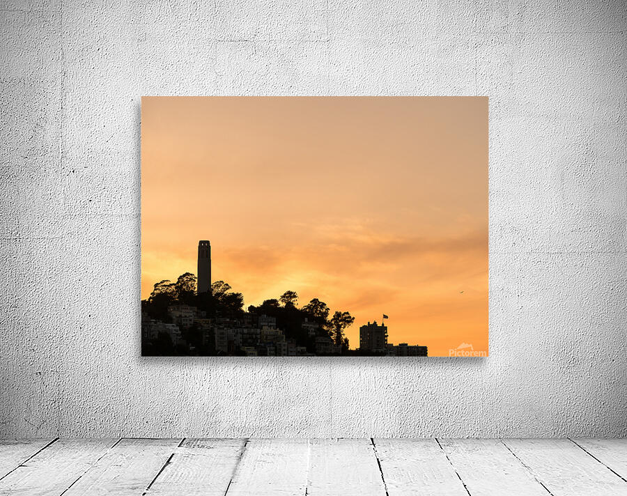 Coit tower at sunset in San Francisco Wall Preview