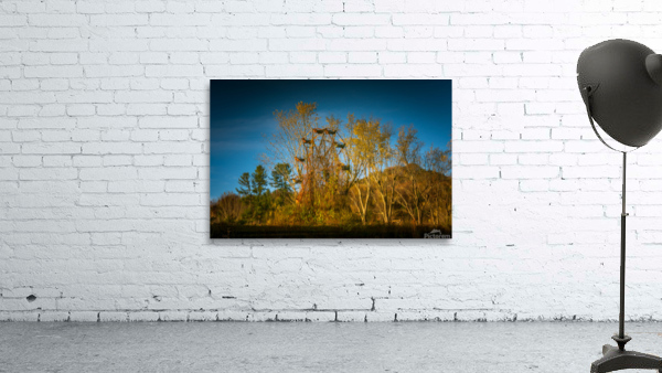 Ferris Wheel ride at abandoned funfair  Wall Preview