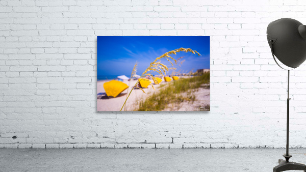 Madiera Beach and sea oats in Florida Wall Preview