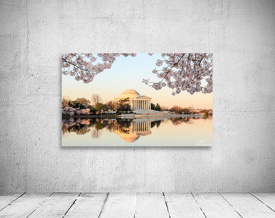 Wide Vista of Beautiful early cherry blossoms Jefferson Memorial Wall Preview