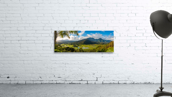Hanalei valley from Princeville overlook Kauai Wall Preview