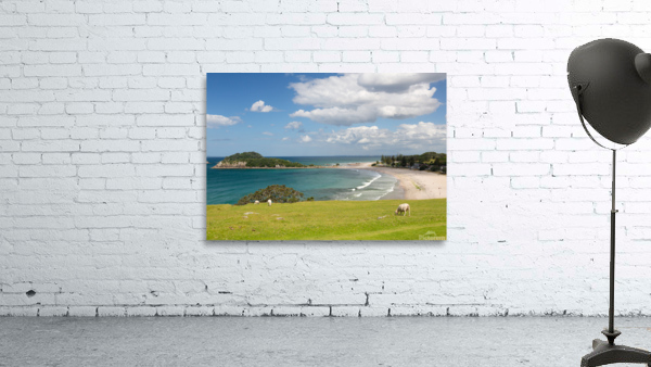 Hike around The Mount at Tauranga in NZ Wall Preview