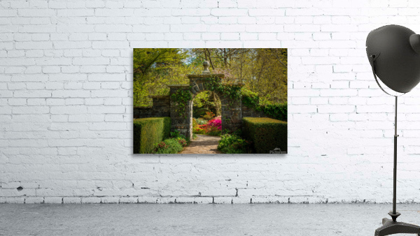 Archway frames Azaleas and Rhododendron trees in spring Wall Preview