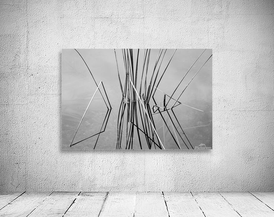 Empty bed of reeds in Everglades Florida Wall Preview
