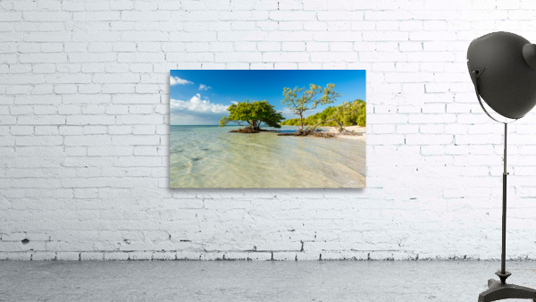 Florida Keys Annes Beach Wall Preview