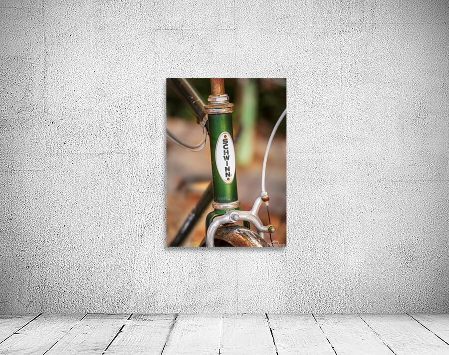 Memories of youth with Schwinn bike frame Wall Preview