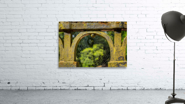 Dew glistening cobweb on gate Wall Preview