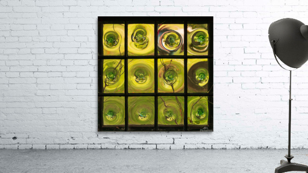 Window of old crown glass panes reflected garden Wall Preview