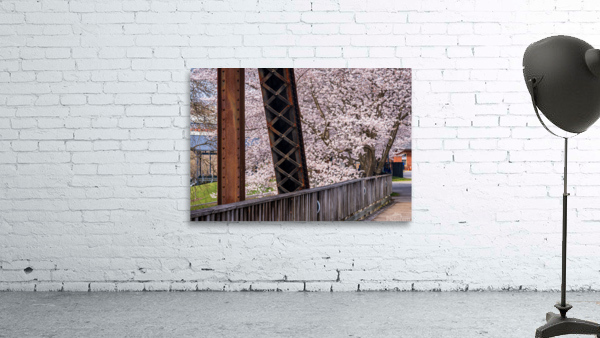 Steel girder bridge carries the bike walking trail over Deckers  Wall Preview
