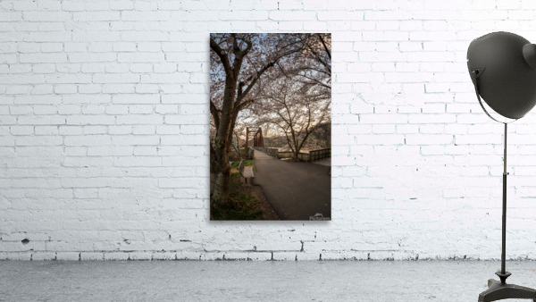 Steel girder bridge carries the bike walking trail over Deckers  Wall Preview