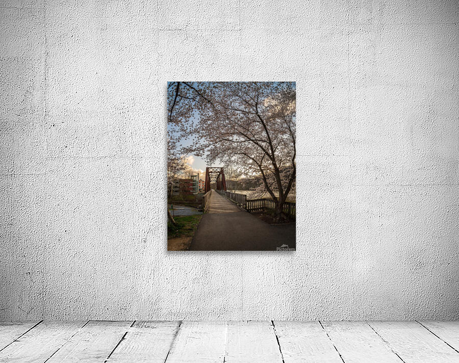Steel girder bridge carries the bike walking trail over Deckers  Wall Preview
