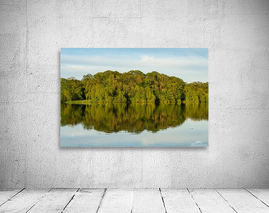 View across the Mere to a reflection of distant trees in Ellesme Wall Preview