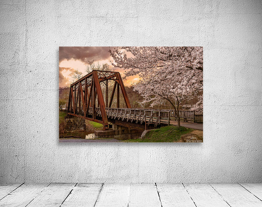 Sunset behind cherry blossoms in Morgantown WV Wall Preview