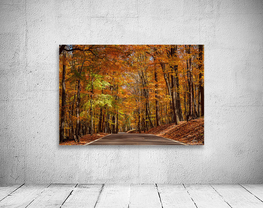 Road leading to Coopers Rock state park Wall Preview